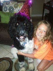 Meet your Posher, Anita